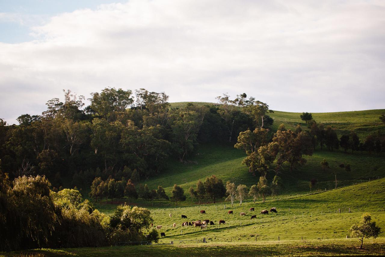 Bendooley Estate Hotel Berrima Buitenkant foto